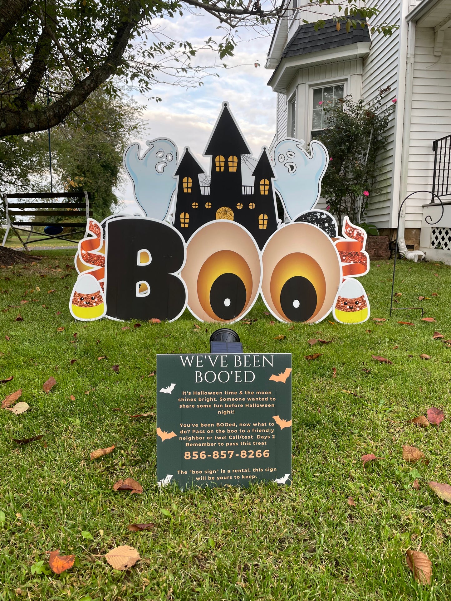 Boo Display | Self Pickup