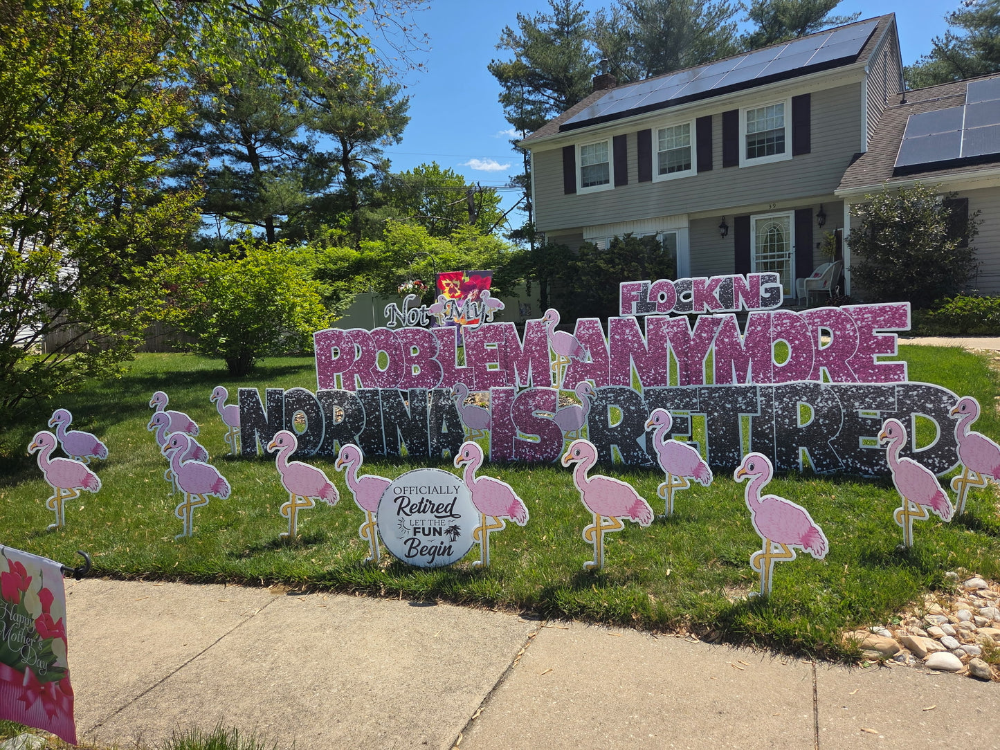 603 Not My Flocking Problem Anymore