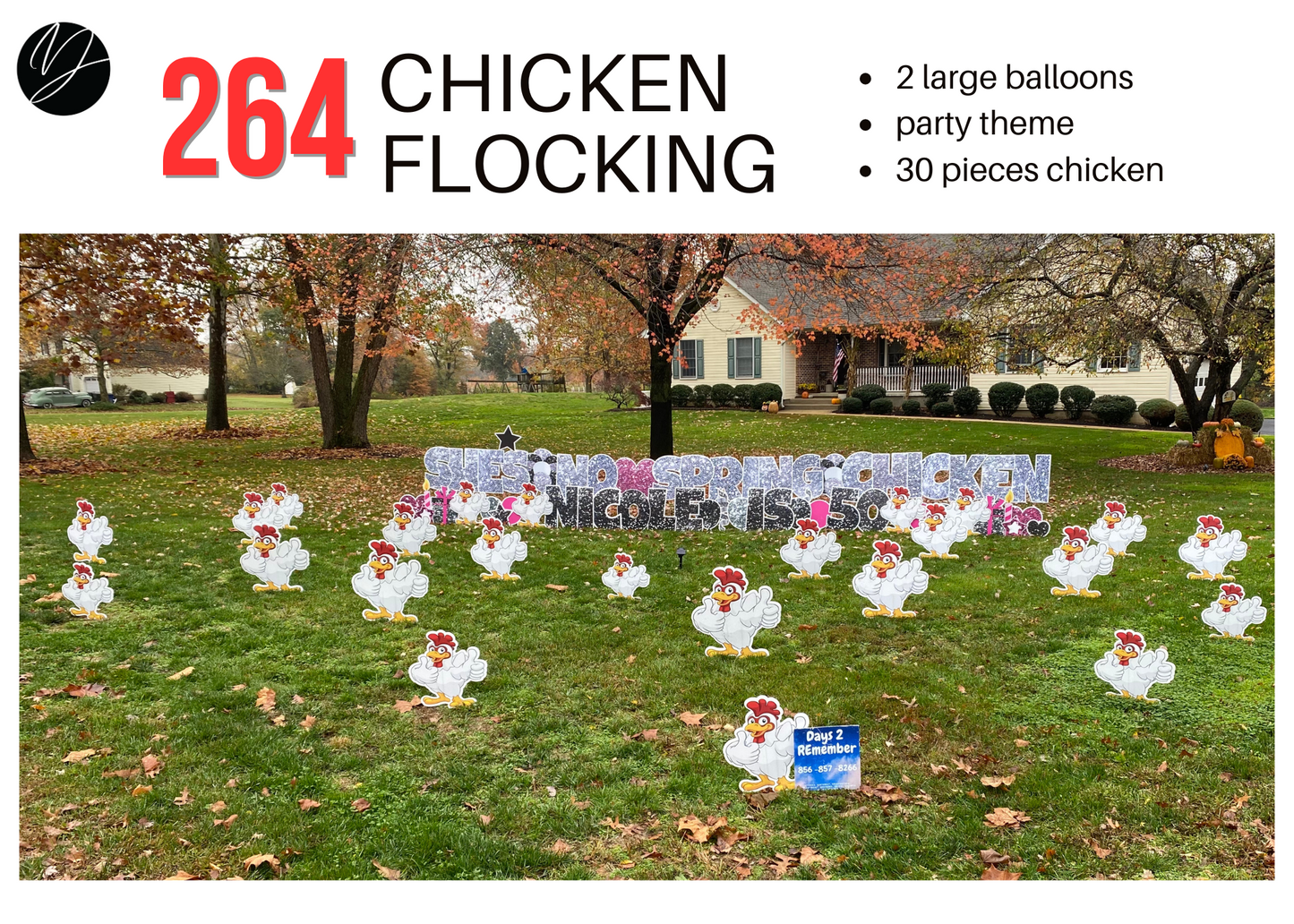 264 Chicken Flocking