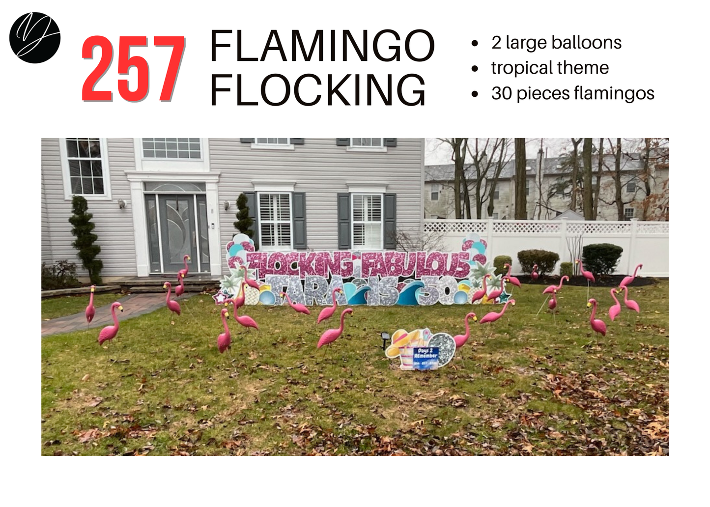 257 Flamingo Flocking