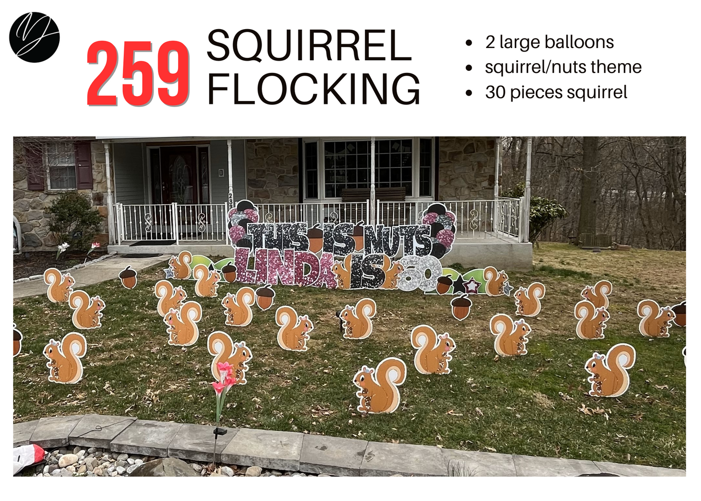 259 Squirrel Flocking