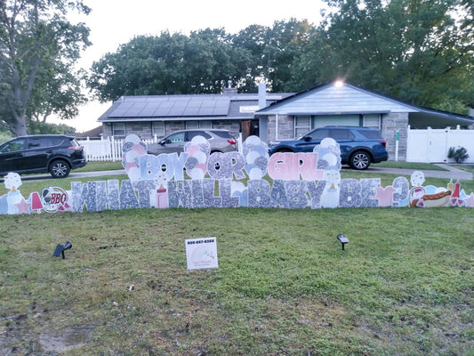 Z1 Gender Reveal