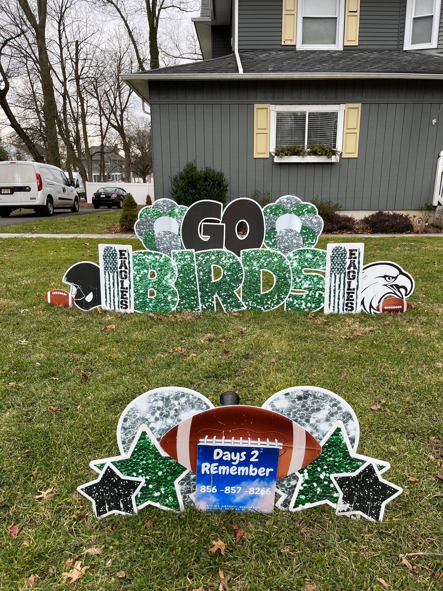 Go Birds Yard Sign