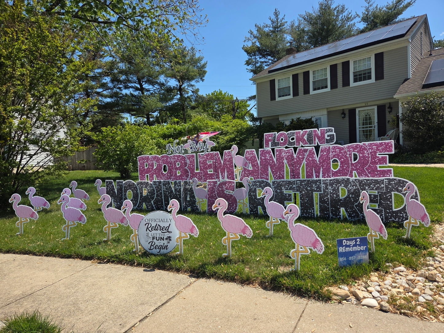 603 Not My Flocking Problem Anymore