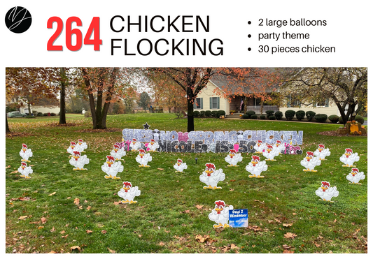 264 Chicken Flocking