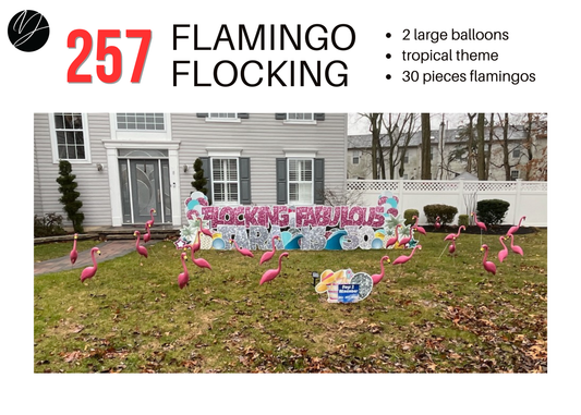 257 Flamingo Flocking